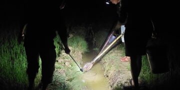 Theo chân người đi soi cá cho bữa cơm cuối năm