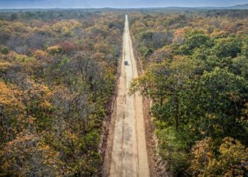 Quyến rũ mùa thay lá ở Vườn quốc gia Yok Đôn