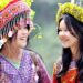 Những cung đường xuân khiến lữ khách say lòng