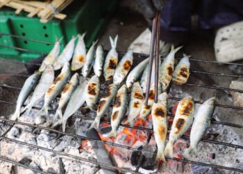 Về miền biển thưởng thức cá trích đầu mùa nướng than hoa