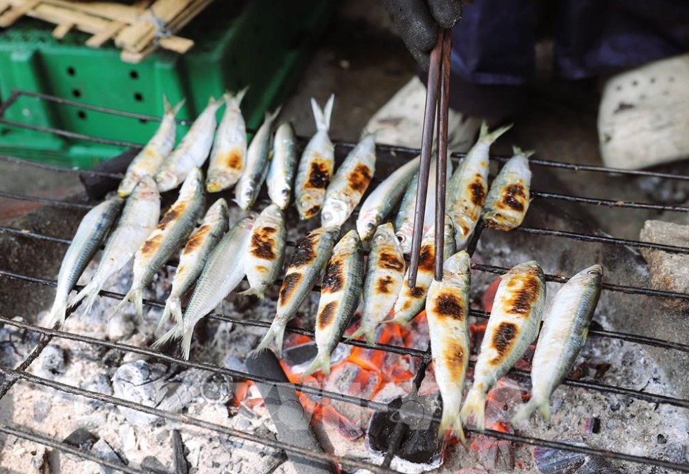 Về miền biển thưởng thức cá trích đầu mùa nướng than hoa