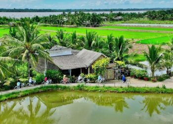 Hấp dẫn điểm du lịch cộng đồng mới nổi Cồn Chim