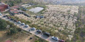 Khi mạng xã hội truyền cảm hứng cho du lịch