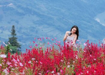 Tìm về thiên nhiên rực rỡ sắc màu ở mảnh đất ‘đá nở hoa’