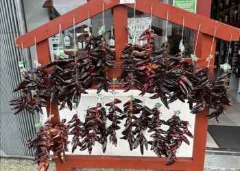 Khám phá vẻ đẹp ngôi làng ớt đỏ ở miền Nam nước Pháp