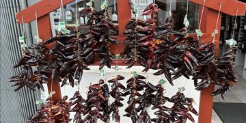 Khám phá vẻ đẹp ngôi làng ớt đỏ ở miền Nam nước Pháp