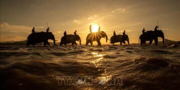 Về với Tây Nguyên đại ngàn ‘mùa con ong đi lấy mật’