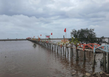 Độc lạ cầu tre vượt biển ở Cồn Đen