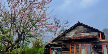 Chàng trai bỏ phố về Đắk Lắk, làm ngôi nhà gỗ đẹp như mơ giữa núi rừng