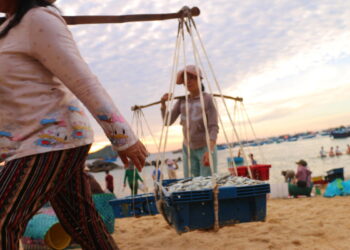 Sáng sớm ra làng chài An Hải: ‘Gánh cá nặng trịch mà quay gì dẫy ông’