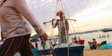 Sáng sớm ra làng chài An Hải: ‘Gánh cá nặng trịch mà quay gì dẫy ông’