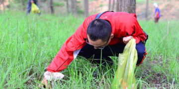 Trải nghiệm hái nấm dưới rừng thông Đà Lạt