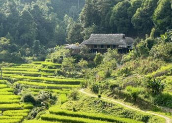 Homestay – Xu hướng lưu trú được yêu thích: Tại sao lại hấp dẫn đến vậy?