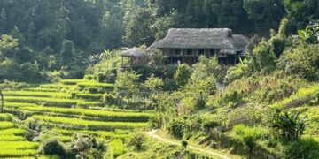 Homestay – Xu hướng lưu trú được yêu thích: Tại sao lại hấp dẫn đến vậy?