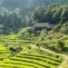 Homestay – Xu hướng lưu trú được yêu thích: Tại sao lại hấp dẫn đến vậy?