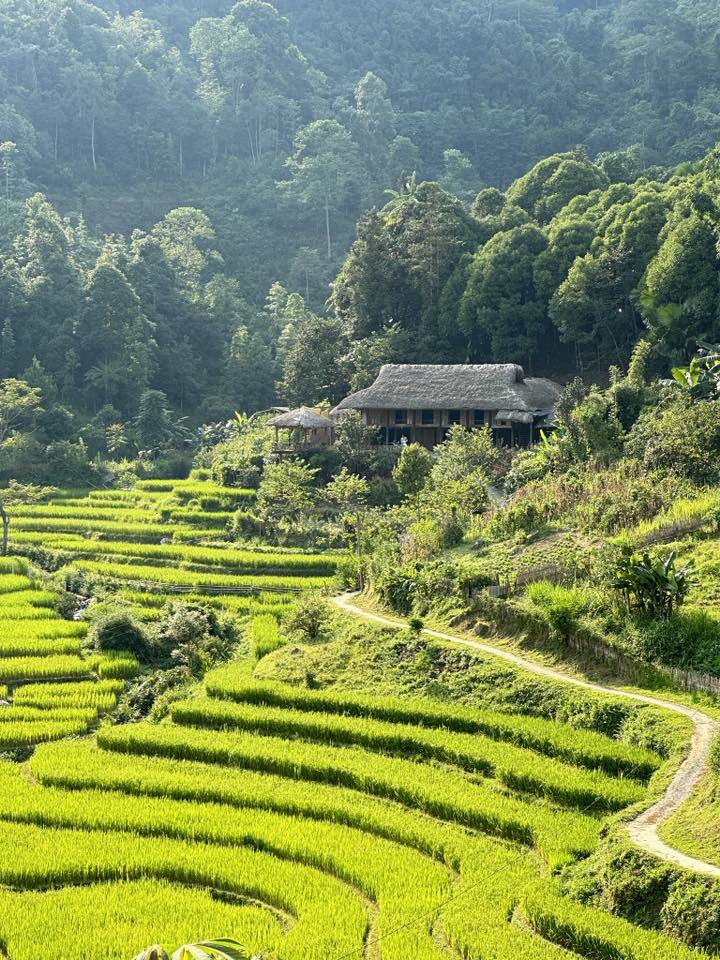 Homestay – Xu hướng lưu trú được yêu thích: Tại sao lại hấp dẫn đến vậy?