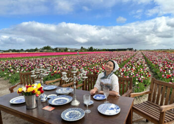 Người Việt lạc lối giữa cánh đồng hoa tulip như cổ tích ở Hà Lan