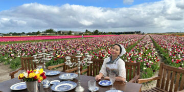 Người Việt lạc lối giữa cánh đồng hoa tulip như cổ tích ở Hà Lan