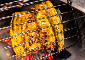 ‘Vua cá sông’ giá hơn triệu đồng 1 ký, ăn xong vẫn thèm