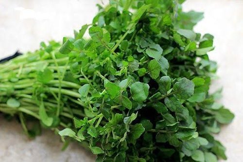 Hai loại cải dân dã nhỏ bé mà độ ngon bổ mạnh vô song