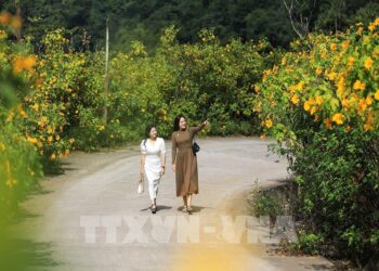 Xóm Mừng: Điểm hẹn du lịch cộng đồng mới giữa vùng Mường Thàng