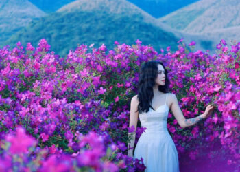 Ngọn đồi nhuộm sắc tím, mây bồng bềnh, khách Hà Nội ‘nhìn ảnh là muốn đi ngay’