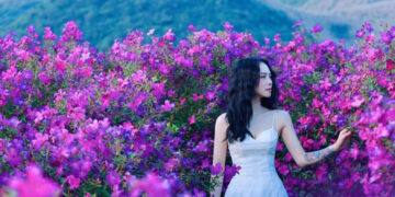 Ngọn đồi nhuộm sắc tím, mây bồng bềnh, khách Hà Nội ‘nhìn ảnh là muốn đi ngay’