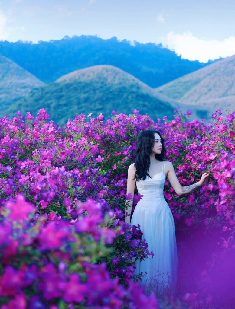 Ngọn đồi nhuộm sắc tím, mây bồng bềnh, khách Hà Nội ‘nhìn ảnh là muốn đi ngay’