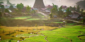 Ngôi làng ‘thiên đường địa lan’ ở Măng Đen, khách tới chữa lành 3 lần không chán