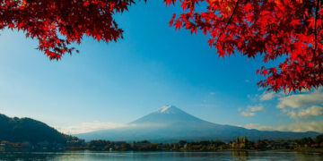Nhật Bản: Sắc Thu rực rỡ của vùng núi Phú Sĩ trong tiết trời se lạnh đầu Đông