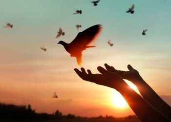 Sống đẹp khi thấy mình nhẹ nhõm, người khác ấm lòng