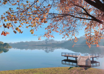 Những điểm đến đẹp của mùa thu Việt Nam