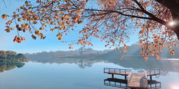 Những điểm đến đẹp của mùa thu Việt Nam