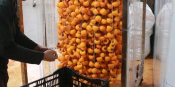 ‘Đột nhập’ lò chế biến hồng treo gió đặc sản Đà Lạt