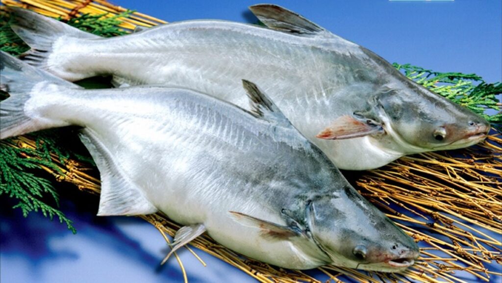 Những loại cá ‘nhà nghèo’ nhưng ngon miệng, giàu dinh dưỡng