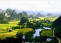 Ngọc Côn mùa lúa chín