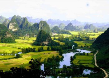 Ngọc Côn mùa lúa chín