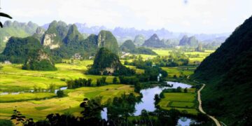 Ngọc Côn mùa lúa chín