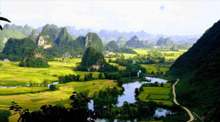Ngọc Côn mùa lúa chín